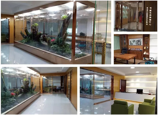 正能量生态体验中心改造后环境 正能量生态体验中心改造后环境